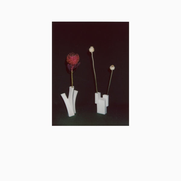 FELICIA ATKINSON - The Flower And The Vessel [Vinyl] (ONLINE ORDER ONLY)