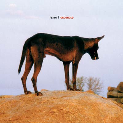 FENIN - Grounded [CD] (ONLINE ORDER ONLY)