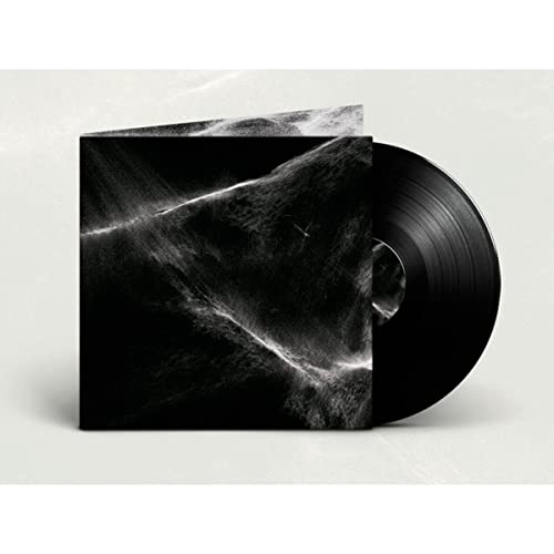 Final Light [Vinyl]