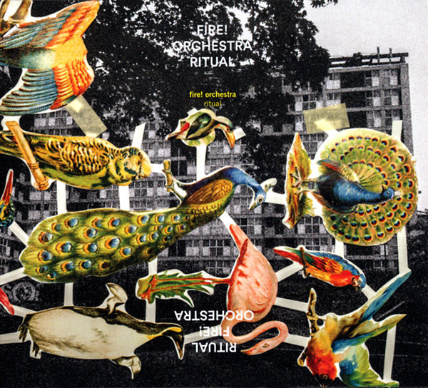 FIRE! ORCHESTRA - Ritual [CD] (ONLINE ORDER ONLY)