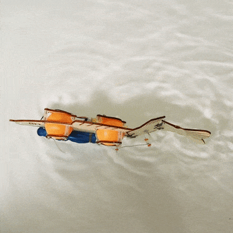 Fish Robot DIY Kit, Educational STEM Toy (ONLINE ORDER ONLY)