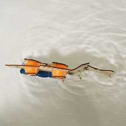 Fish Robot DIY Kit, Educational STEM Toy (ONLINE ORDER ONLY)