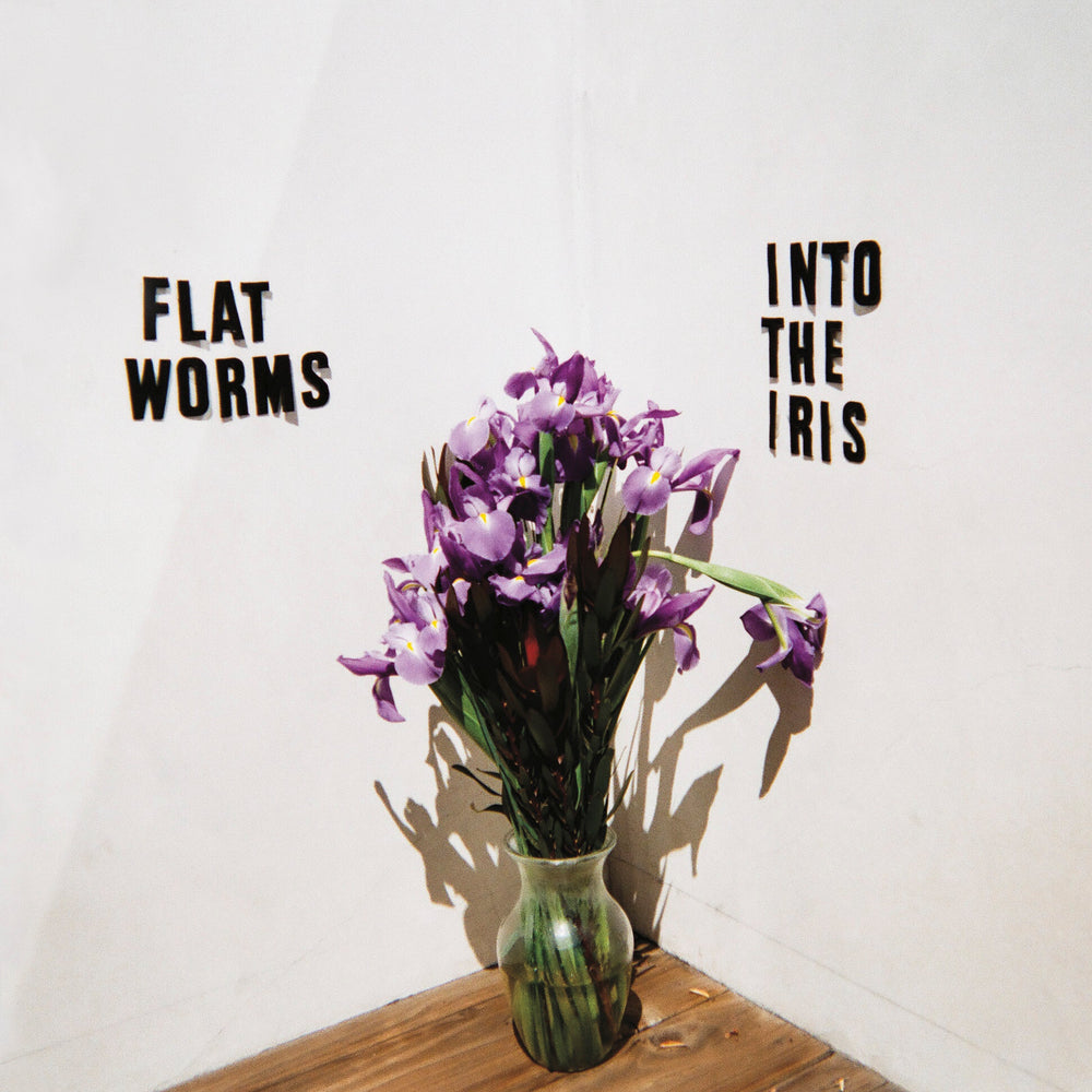 Into The Iris [Vinyl]