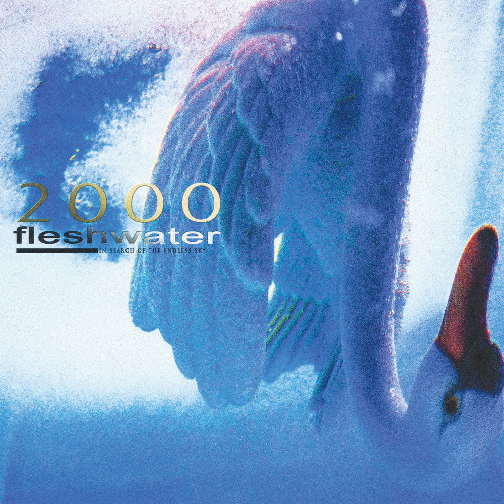 2000: In Search Of The Endless Sky [CD] (ONLINE ORDER ONLY)