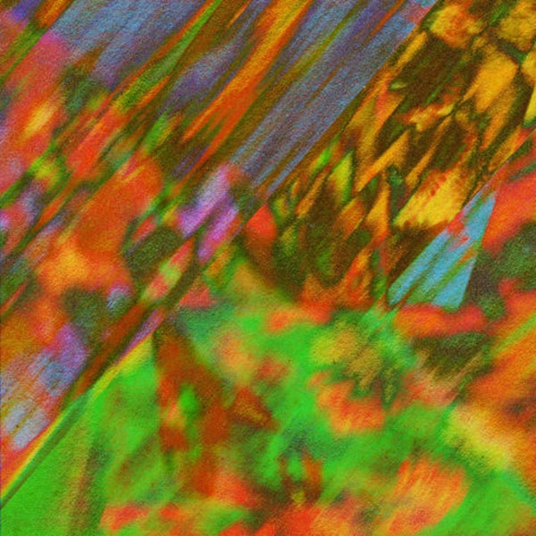 Stay Here/Writer [Vinyl] (ONLINE ORDER ONLY)
