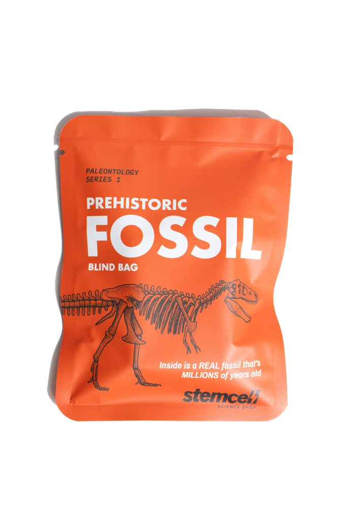 Fossil Blind Bag (Online Order Only)
