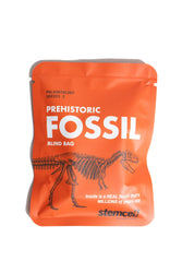 Fossil Blind Bag (Online Order Only)