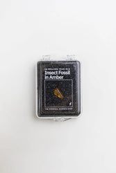 Fossilized Insect in Amber (ONLINE ORDER ONLY)
