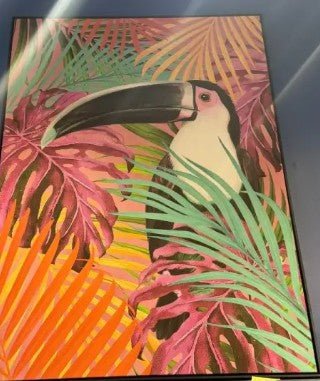 FRAME FLUO TOUCAN FRAMED PRINT 48 by 36 Approx (Online Order Only)