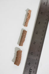 Fulgurite (ONLINE ORDER ONLY)