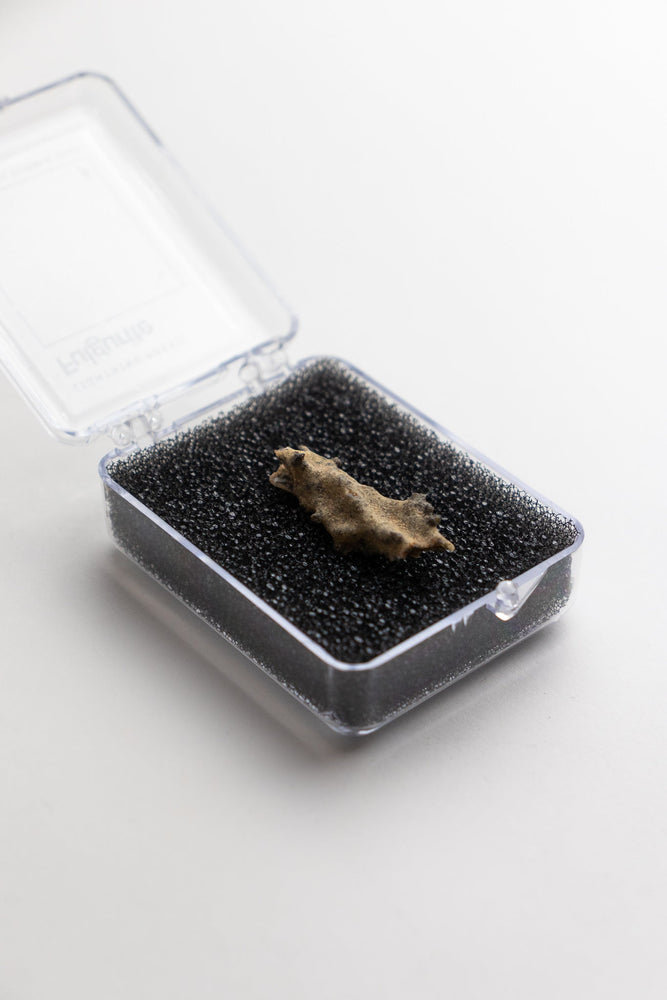 Fulgurite (ONLINE ORDER ONLY)