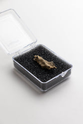 Fulgurite (ONLINE ORDER ONLY)