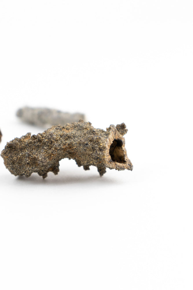 Fulgurite (ONLINE ORDER ONLY)