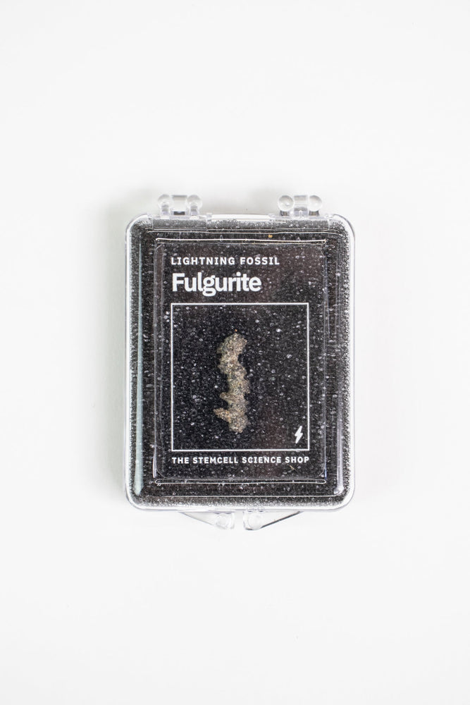 Fulgurite (ONLINE ORDER ONLY)