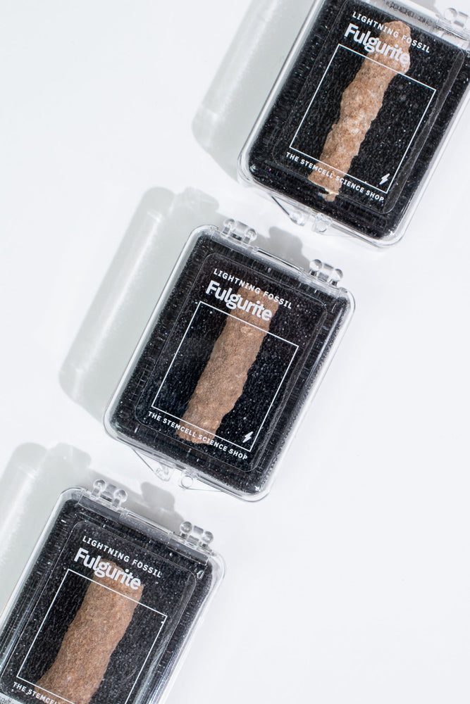 Fulgurite (ONLINE ORDER ONLY)