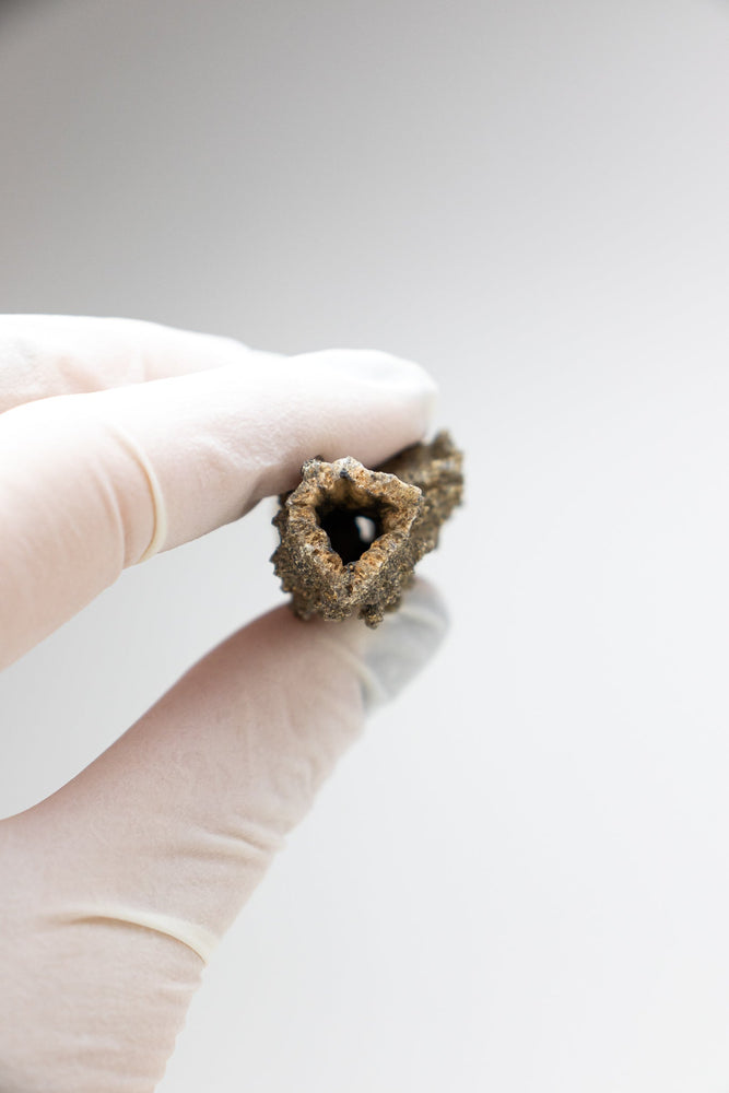 Fulgurite (ONLINE ORDER ONLY)