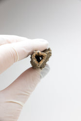 Fulgurite (ONLINE ORDER ONLY)