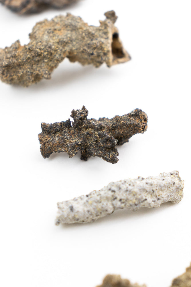 Fulgurite (ONLINE ORDER ONLY)