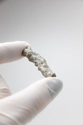 Fulgurite (ONLINE ORDER ONLY)