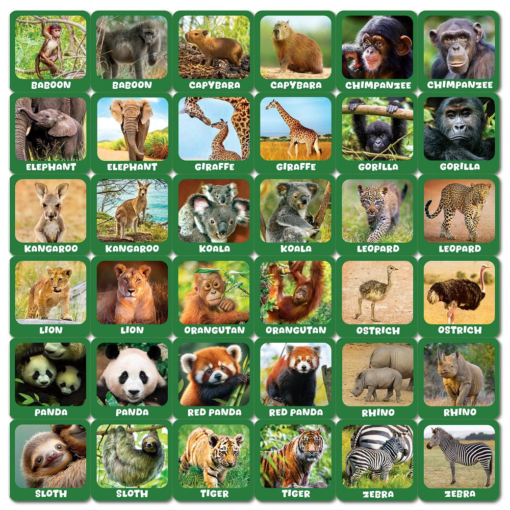 Jr. Zookeeper Matching Game (ONLINE ORDER ONLY)