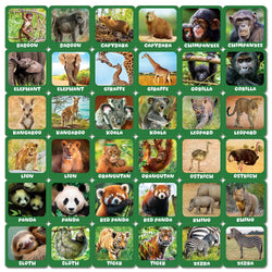 Jr. Zookeeper Matching Game (ONLINE ORDER ONLY)