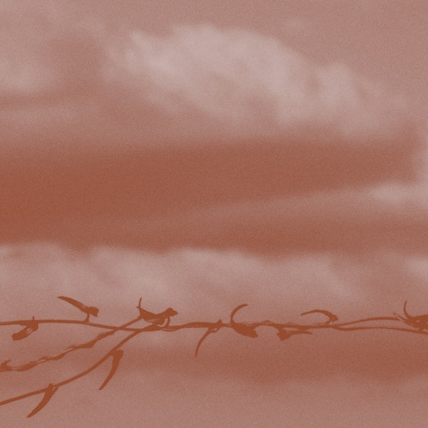 Double Bind [CD] (ONLINE ORDER ONLY)
