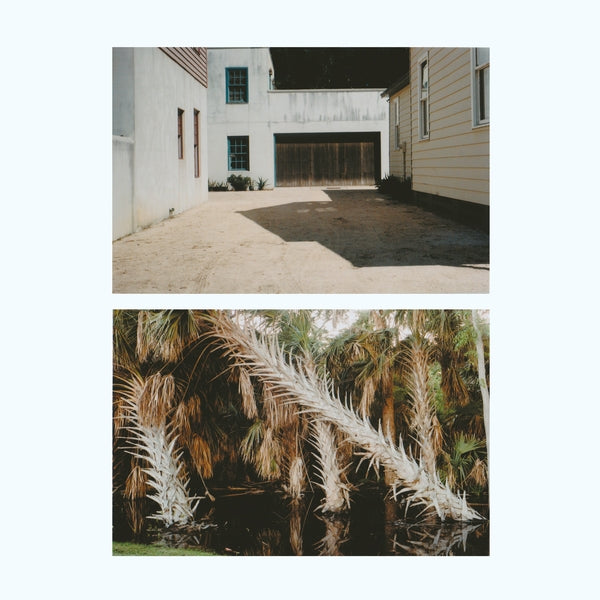 The Vestige [Lp] [Vinyl] (ONLINE ORDER ONLY)