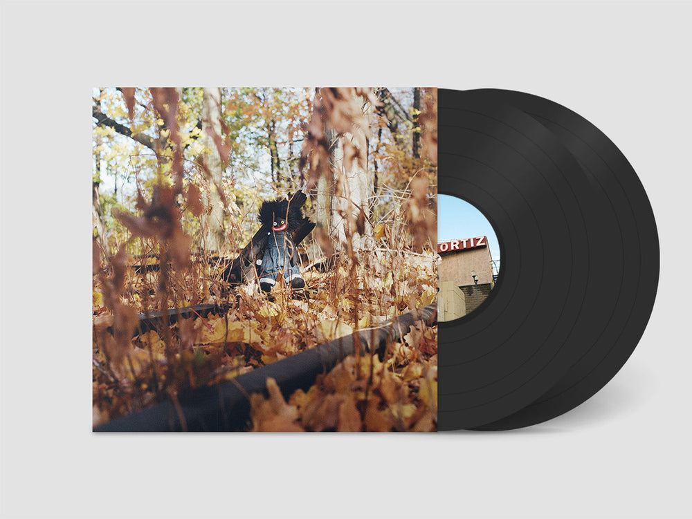 GOLLIWOG (2LP) [Vinyl]
