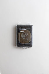 Goniatite Fossil (ONLINE ORDER ONLY)