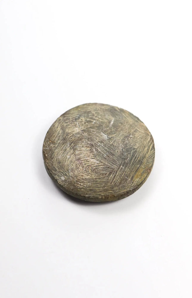 Goniatite Fossil (ONLINE ORDER ONLY)
