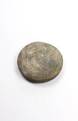 Goniatite Fossil (ONLINE ORDER ONLY)