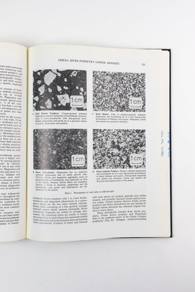 Granitic Magmatism and Related Mineralization (ONLINE ORDER ONLY)