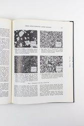 Granitic Magmatism and Related Mineralization (ONLINE ORDER ONLY)