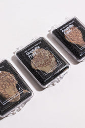 Graptolite (ONLINE ORDER ONLY)