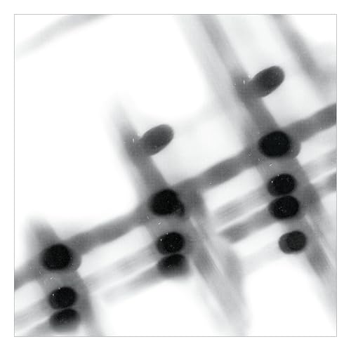 40:13.5 [Vinyl] (ONLINE ORDER ONLY)