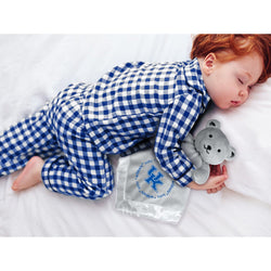 Kentucky Wildcats - Security Bear Gray (ONLINE ORDER ONLY)