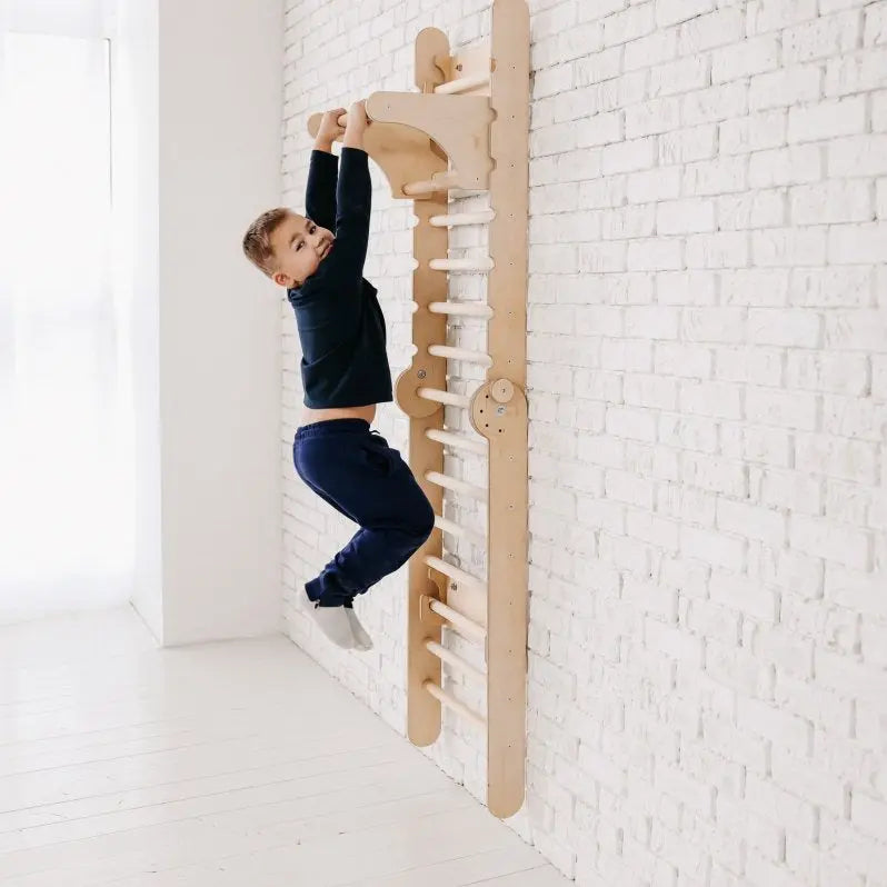 Gym Addition to the Climbing Ladders (ONLINE ORDER ONLY)
