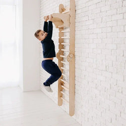 Gym Addition to the Climbing Ladders (ONLINE ORDER ONLY)