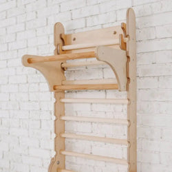 Gym Addition to the Climbing Ladders (ONLINE ORDER ONLY)