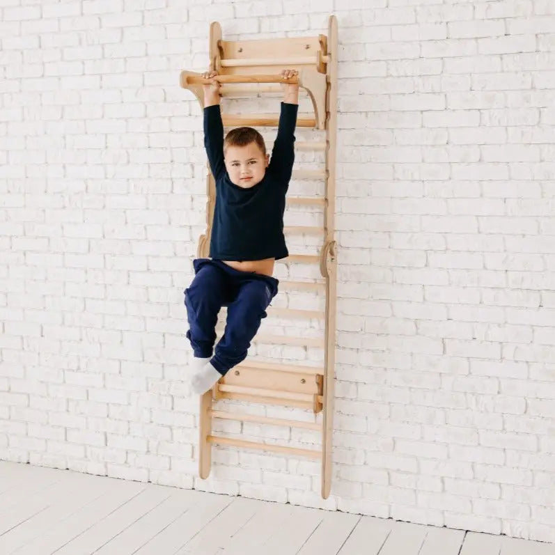 Gym Addition to the Climbing Ladders (ONLINE ORDER ONLY)