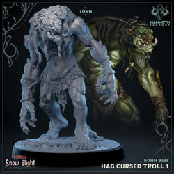 Hag Cursed Troll 1 (Online Only)