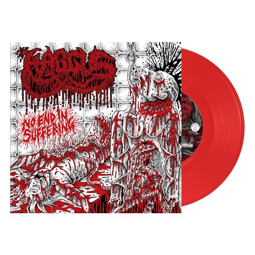 No End In Suffering [Vinyl] (ONLINE ORDER ONLY)