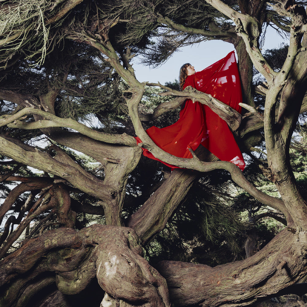 Nested In Tangles [CD] (ONLINE ORDER ONLY)