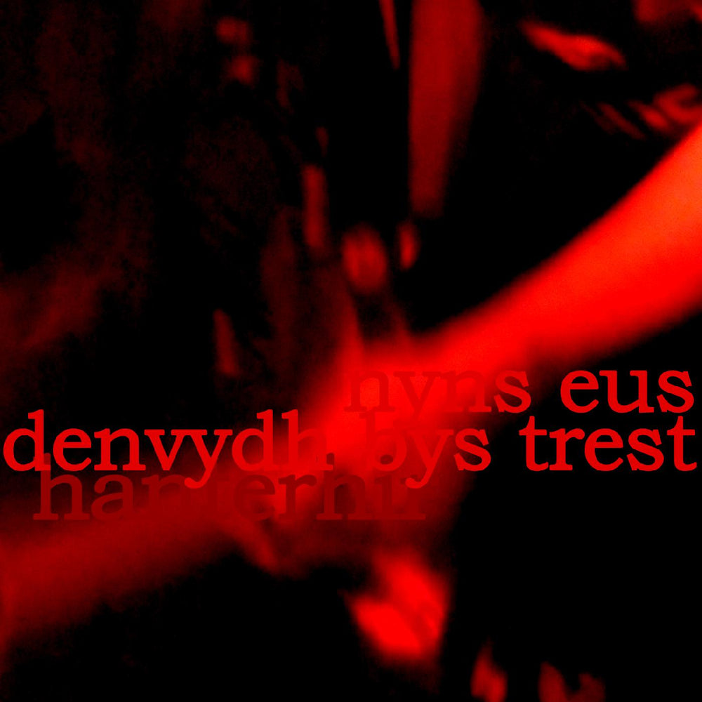 There is No One to Trust (Nyns Eus Denvydth Bys Trest) [CD] (ONLINE ORDER ONLY)