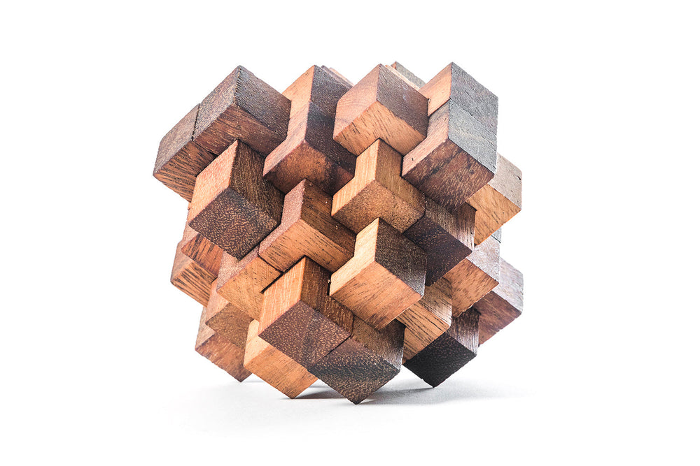 Construct Puzzle - Interlocking 24 piece Burr Puzzle (Online Order Only)