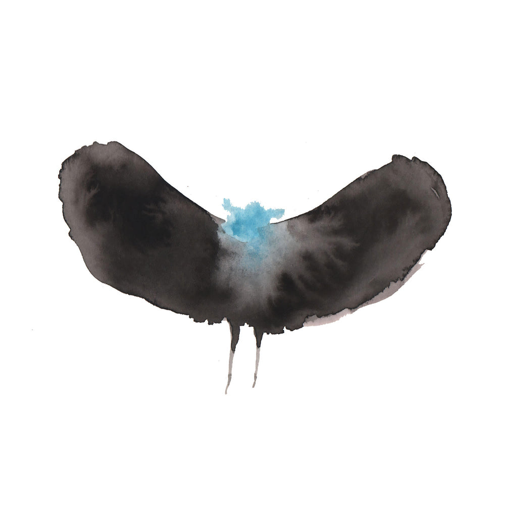 Haywardxdälek [CD] [CD] (ONLINE ORDER ONLY)