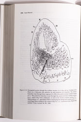 Hearing Science (ONLINE ORDER ONLY)