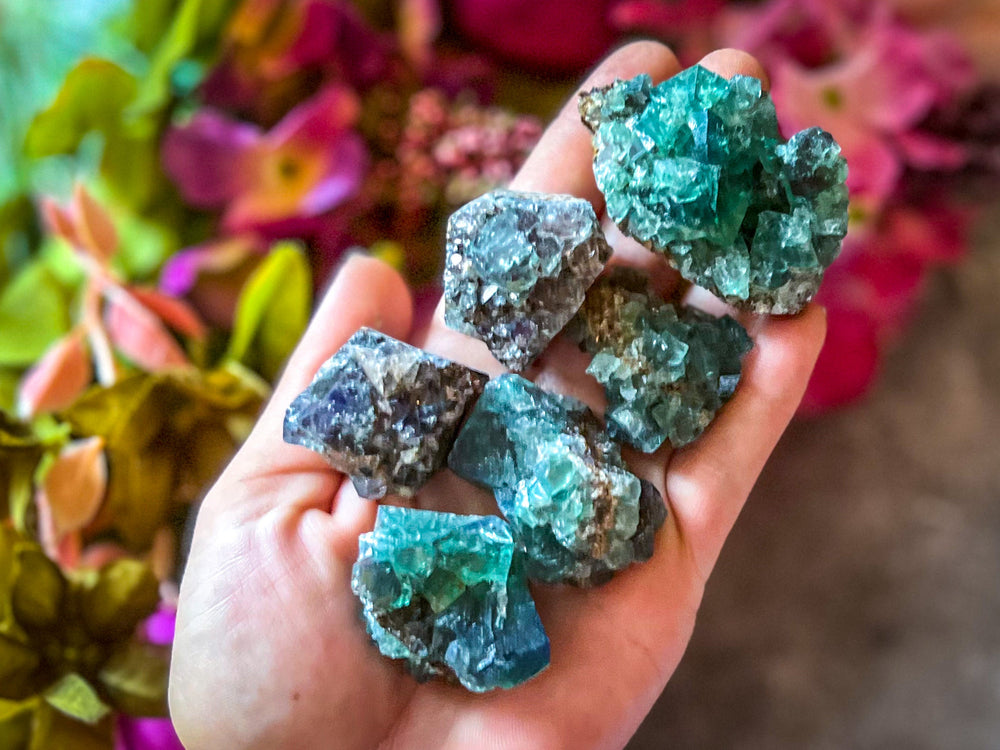 Hidden Forest Pocket Fluorite Clusters, Diana Maria Mine, Daylight Fluorescent Fluorite (ONLINE ORDER ONLY)