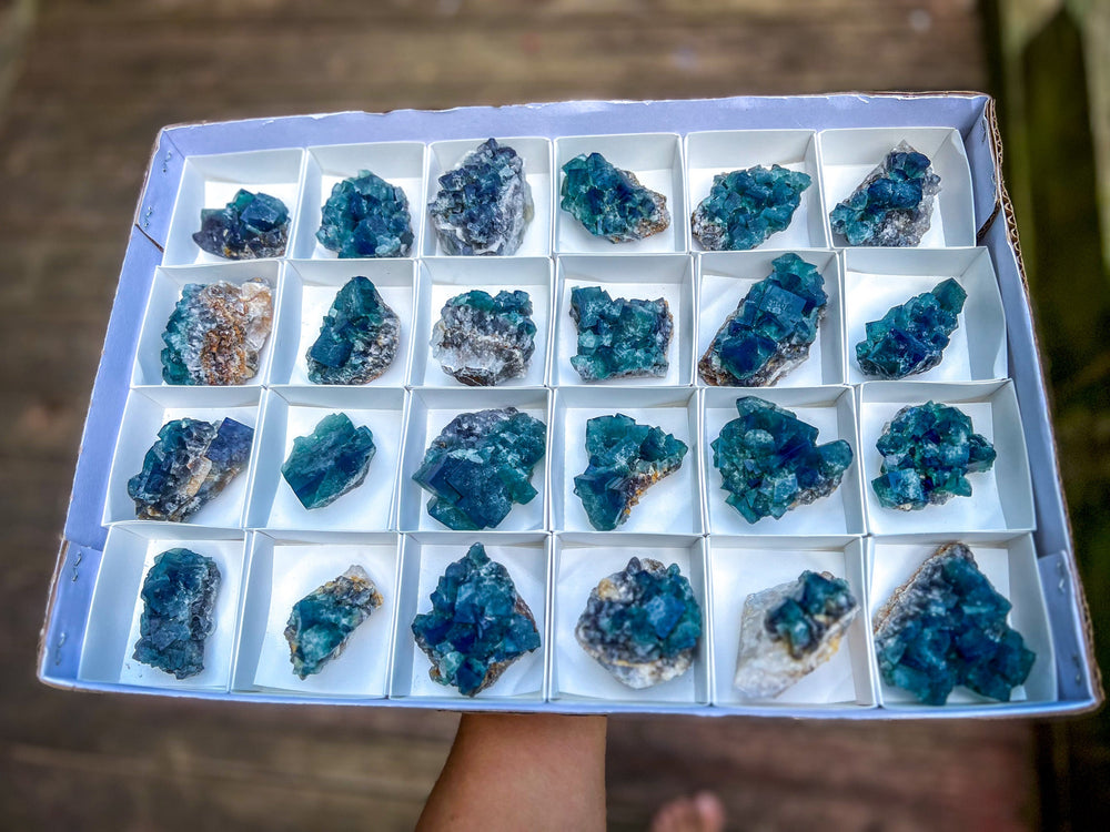Hidden Forest Pocket Fluorite Clusters, Diana Maria Mine, Daylight Fluorescent Fluorite (ONLINE ORDER ONLY)
