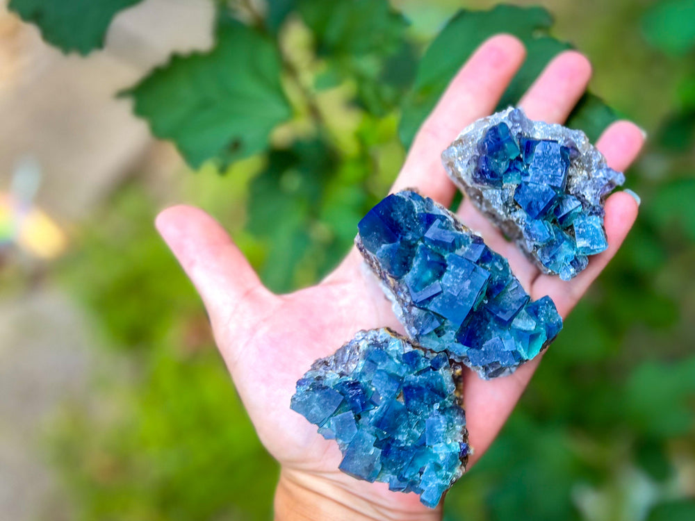 Hidden Forest Pocket Fluorite Clusters, Diana Maria Mine, Daylight Fluorescent Fluorite (ONLINE ORDER ONLY)
